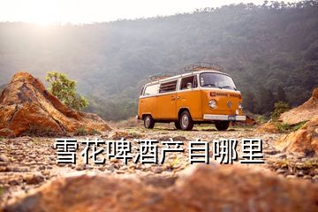 雪花啤酒產自哪里