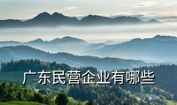 廣東民營企業有哪些