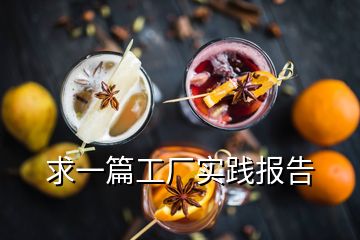 求一篇工廠實(shí)踐報告