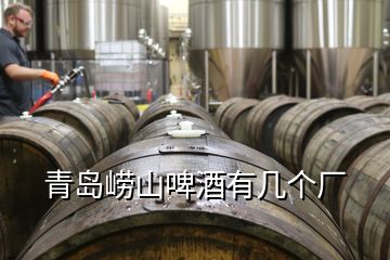 青島嶗山啤酒有幾個廠