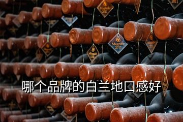 哪個品牌的白蘭地口感好