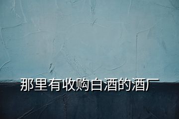 那里有收購白酒的酒廠