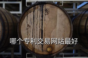 哪個專利交易網站最好
