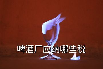 啤酒廠應納哪些稅