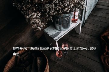 現在開酒廠賺錢嗎我家是農村的家里房屋土地加一起10多畝想
