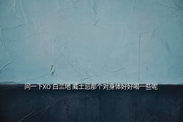 問一下XO 白蘭地 威士忌那個(gè)對(duì)身體好好喝一些呢