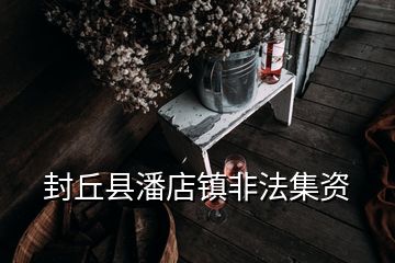 封丘縣潘店鎮非法集資