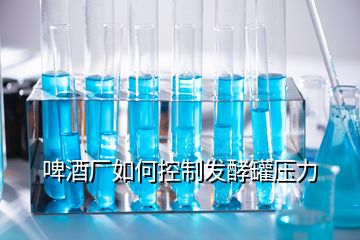 啤酒廠如何控制發酵罐壓力