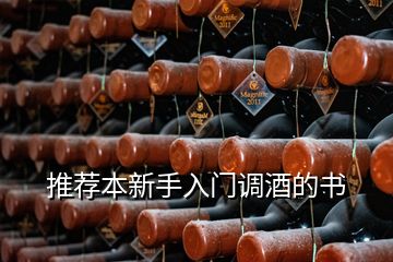推薦本新手入門調酒的書