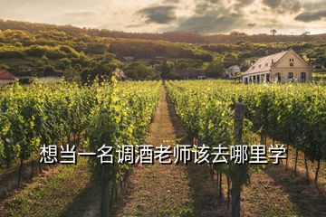 想當(dāng)一名調(diào)酒老師該去哪里學(xué)