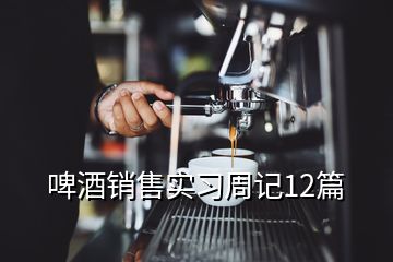 啤酒銷售實習(xí)周記12篇