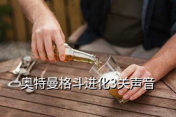 奧特曼格斗進化3關(guān)聲音