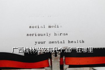 廣西桂林興安有幾個酒廠在哪里