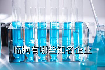 臨朐有哪些知名企業