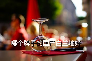 哪個牌子的國產白蘭地好