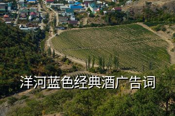洋河藍色經典酒廣告詞