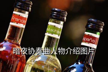 暗夜協奏曲人物介紹圖片