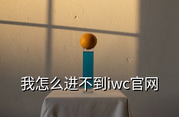 我怎么進不到iwc官網