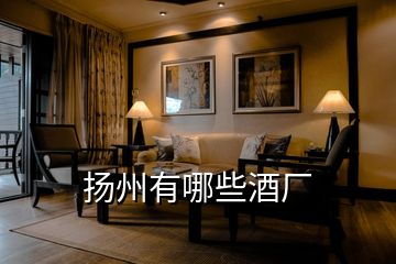 揚州有哪些酒廠