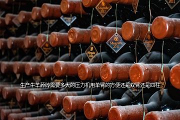 生產牛羊舔磚需要多大的壓力機用單臂的方便還是雙臂還是四柱