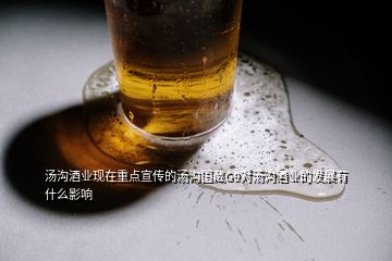湯溝酒業現在重點宣傳的湯溝國藏G9對湯溝酒業的發展有什么影響