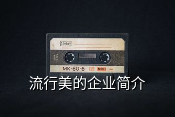 流行美的企業簡介