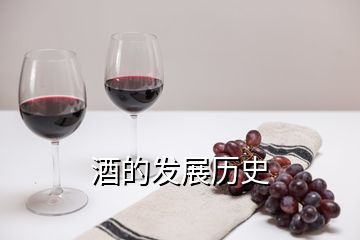 酒的發展歷史
