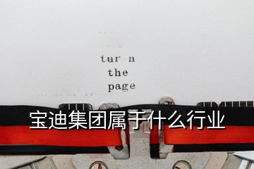 寶迪集團屬于什么行業