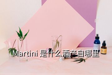 Martini 是什么酒產自哪里