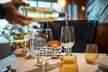 酒窖空調