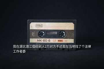我在湖北潛江借給別人2萬對方不還我在當地找了個法律工作者委