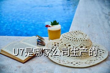 U7是哪家公司生產的
