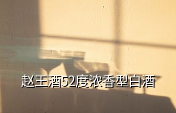 趙王酒52度濃香型白酒