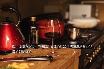 四川仙潭酒業集團中國四川仙潭酒廠20年陳釀潭酒醬香型白酒53度價多