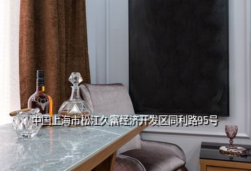 中國上海市松江久富經濟開發區同利路95號