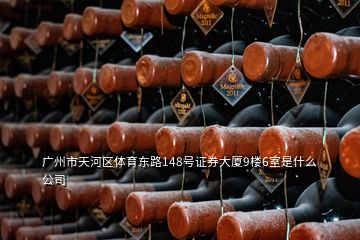 廣州市天河區體育東路148號證券大廈9樓6室是什么公司