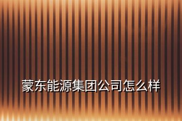 蒙東能源集團公司怎么樣