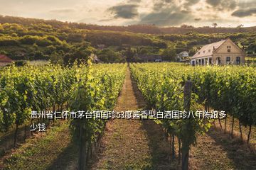 貴州省仁懷市茅臺鎮國珍53度醬香型白酒國珍八年陳踉多少錢