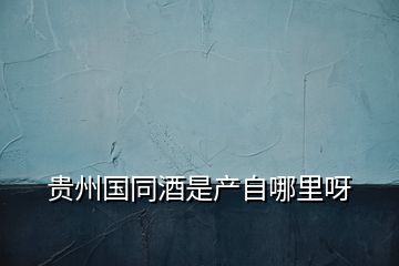 貴州國同酒是產自哪里呀