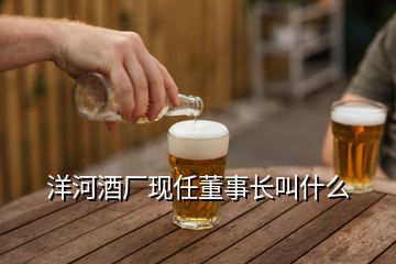洋河酒廠現任董事長叫什么