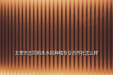 五常市志同稻禾水稻種植專業合作社怎么樣