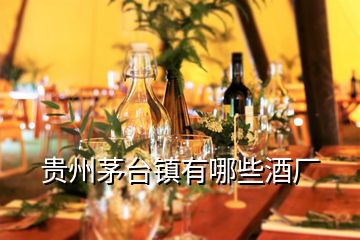 貴州茅臺鎮有哪些酒廠