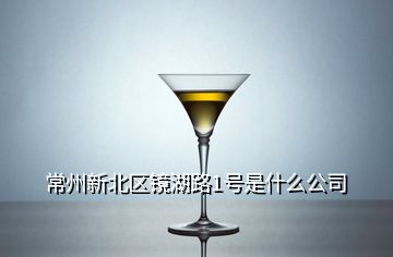 常州新北區鏡湖路1號是什么公司