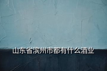 山東省濱州市都有什么酒業