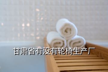 甘肅省有沒有輪椅生產廠