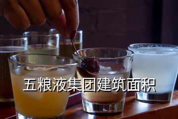 五糧液集團建筑面積