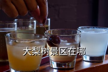 大梨樹景區在哪