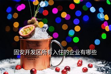 固安開發區所有入住的企業有哪些
