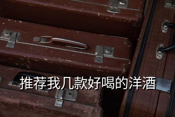推薦我幾款好喝的洋酒