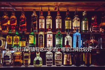宿遷洋河鎮有這么多酒廠哪家口碑比較好